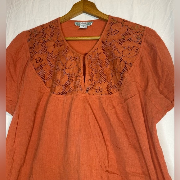 Japna Terracotta Embroidered Blouse - Picture 2 of 8